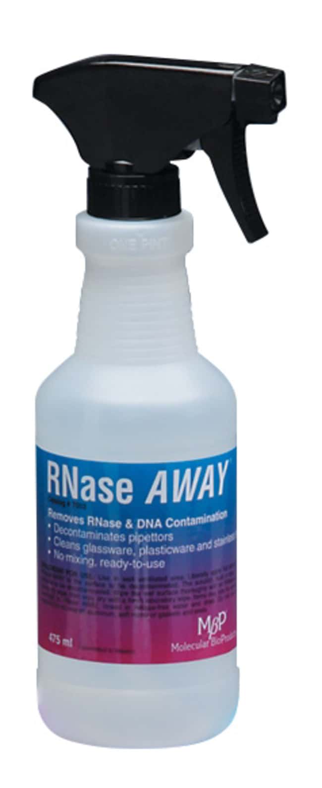 Thermo Scientific RNase AWAY Spru¨hflasc